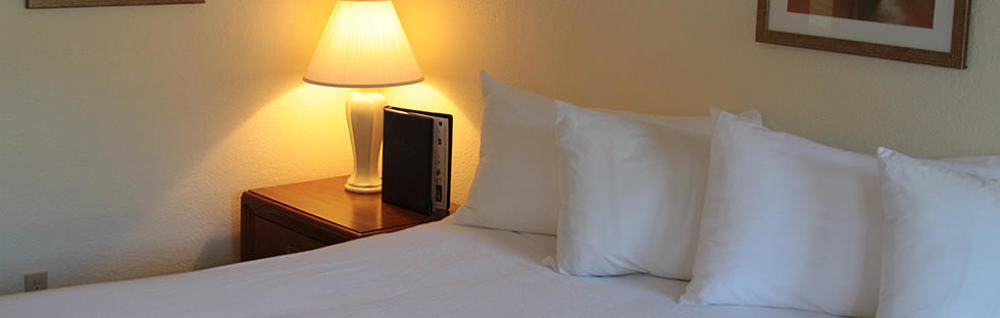 The Driftwood 3*